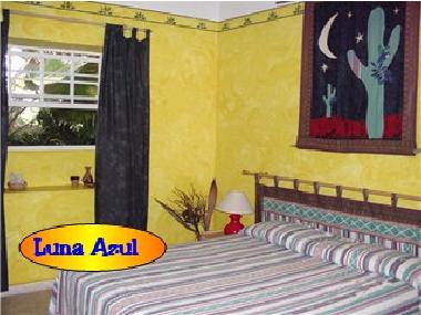 Holiday Apartment in Bonaire (Bonaire) or holiday homes and vacation rentals