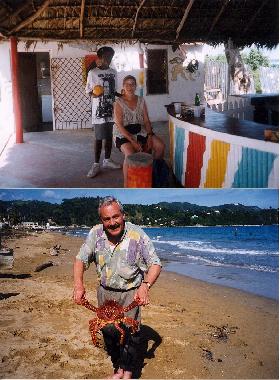 Typical beach bar and seafood