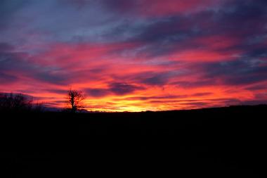 Twilight