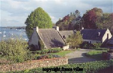 the house from the back