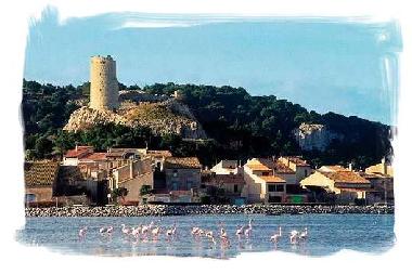 Holiday House in Gruissan (Aude) or holiday homes and vacation rentals