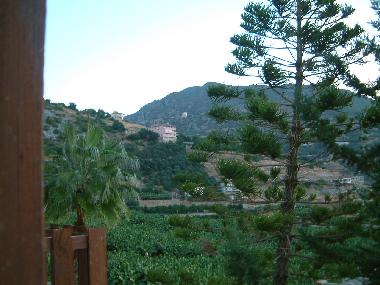 mountain and banana view