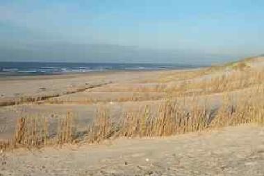 Holiday House in Julianadorp aan zee (Noord-Holland) or holiday homes and vacation rentals