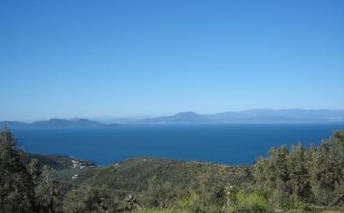 view