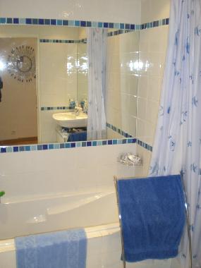 bathroom also with shower