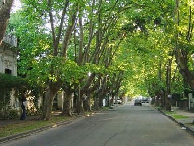 Bed and Breakfast in Adrogue (Buenos Aires) or holiday homes and vacation rentals