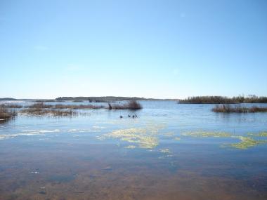 Holiday Apartment in Lagoa de Santo Andre (Alentejo Litoral) or holiday homes and vacation rentals