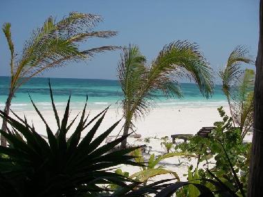 Holiday House in tulum (Quintana Roo) or holiday homes and vacation rentals