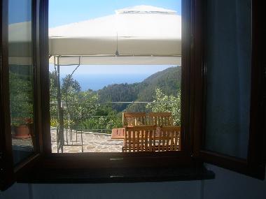 the view from kitchen's window