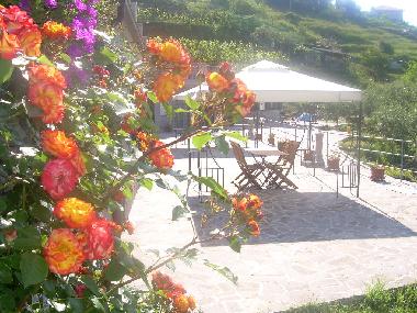 colors on the terrace 
