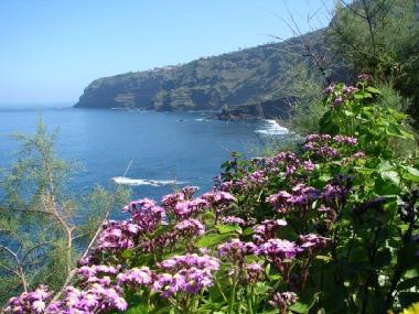 Holiday Apartment in La Orotava - El Rinc�n (Teneriffa) or holiday homes and vacation rentals