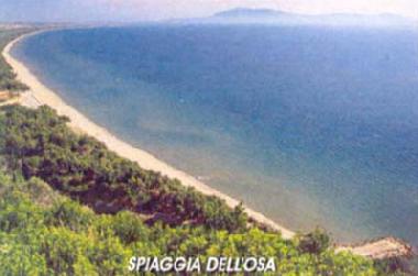 Holiday Apartment in Talamone (Grosseto) or holiday homes and vacation rentals