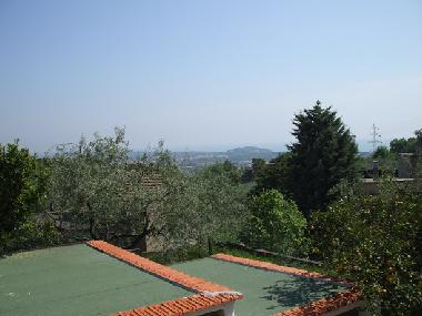 view from the house