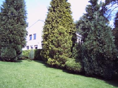 Holiday House in Stavelot (Wallonia) or holiday homes and vacation rentals