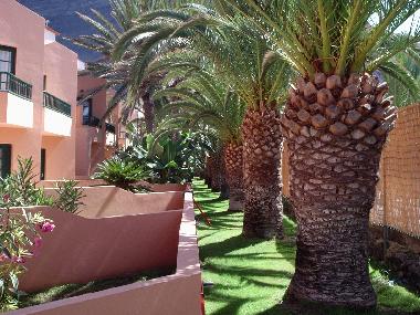 Holiday Apartment in Valle Gran Rey (La Gomera) or holiday homes and vacation rentals