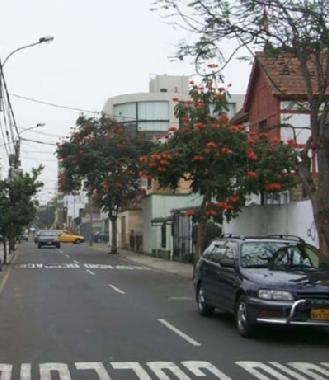 Holiday Apartment in Miraflores (Lima) or holiday homes and vacation rentals