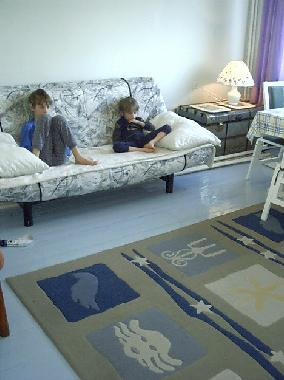 Holiday Apartment in Haapsalu  (Laanemaa) or holiday homes and vacation rentals