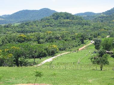 Bed and Breakfast in Melgarejo (Guaira) or holiday homes and vacation rentals