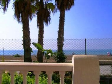 Laguna Beach 26