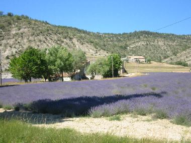 Holiday House in Montbrun-Les-Bains (Vaucluse) or holiday homes and vacation rentals