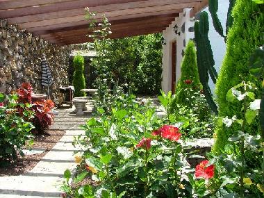 Holiday House in Buen Paso (Roque del Oeste) or holiday homes and vacation rentals