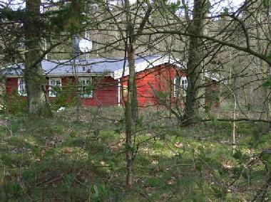 Holiday House in Saeby (Nordjylland) or holiday homes and vacation rentals