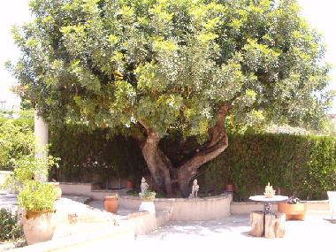 Chalet in CHIVA (Valencia / Val�ncia) or holiday homes and vacation rentals