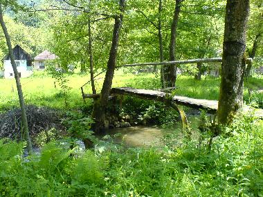 Holiday House in uibaresti (Hunedoara) or holiday homes and vacation rentals