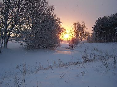 Holiday House in Saraiki (Lettland) or holiday homes and vacation rentals