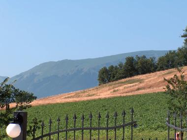 Holiday House in Cessapalombo (MC) (Macerata) or holiday homes and vacation rentals