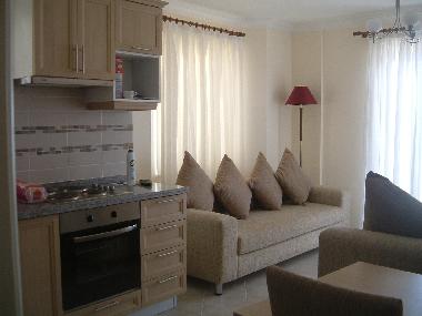 kitchen and living room 