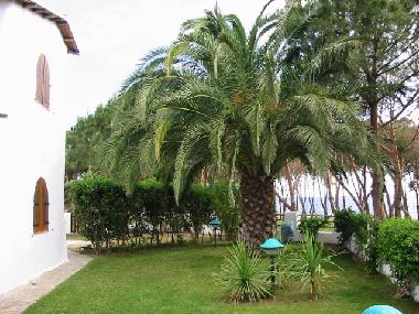 Holiday House in Quartu Sant`Elena  (Cagliari) or holiday homes and vacation rentals