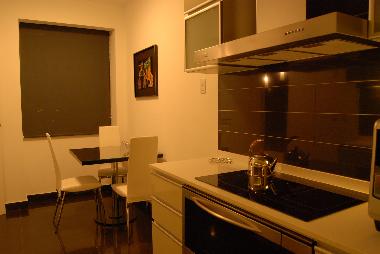 Holiday Apartment in Puerto Madero (Distrito Federal) or holiday homes and vacation rentals