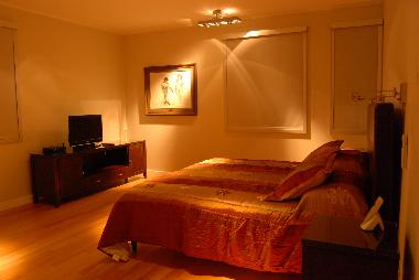 Holiday Apartment in Puerto Madero (Distrito Federal) or holiday homes and vacation rentals