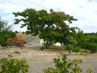 Holiday House in locorotondo (Bari) or holiday homes and vacation rentals