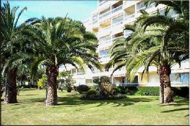 Boat in Cannes (Alpes-Maritimes) or holiday homes and vacation rentals