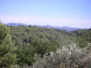 Holiday House in Flayosc (Var) or holiday homes and vacation rentals
