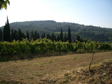 Holiday House in Borgo Chianti (Firenze) or holiday homes and vacation rentals