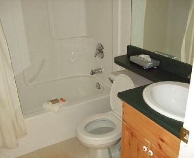 Chalet in Fernie (British Columbia) or holiday homes and vacation rentals