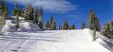 Bed and Breakfast in val di sole (Trento) or holiday homes and vacation rentals