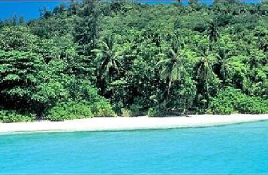 Anse Royale Coast and Beach- 3 minutes away