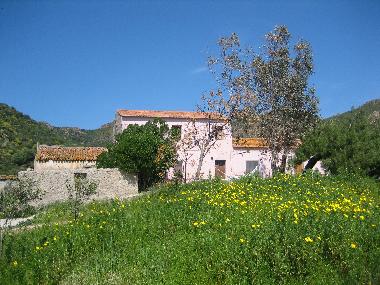 Holiday House in Li Reni, Viddalba (Sassari) or holiday homes and vacation rentals