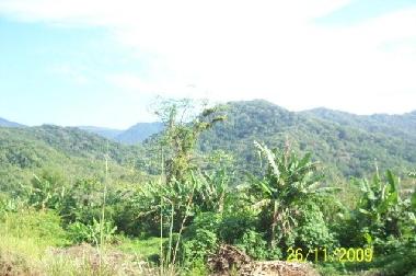 Holiday Apartment in UBATUBA (Sao Paulo) or holiday homes and vacation rentals
