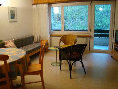 Holiday Apartment in 3954 (Leukerbad) or holiday homes and vacation rentals