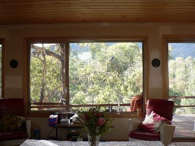 Holiday House in Suggan Buggan (Victoria) or holiday homes and vacation rentals