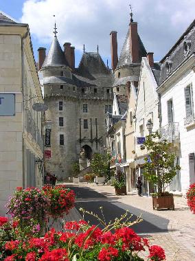 Holiday House in Langeais (Centre) or holiday homes and vacation rentals