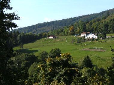 Chalet in Saulxures-sur-Moselotte (Vosges) or holiday homes and vacation rentals