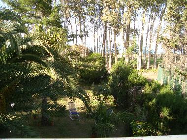 Holiday House in Furnari (Messina) or holiday homes and vacation rentals