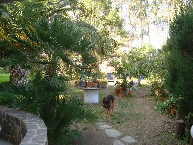 Holiday House in Furnari (Messina) or holiday homes and vacation rentals