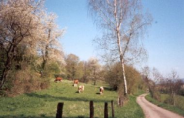 Holiday House in Lure (Haute-Sa�ne) or holiday homes and vacation rentals